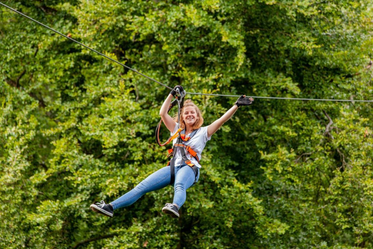 Appartementhaus Eifeladventures Berlingen المظهر الخارجي الصورة